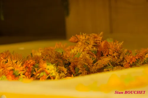 IMG_370820260614