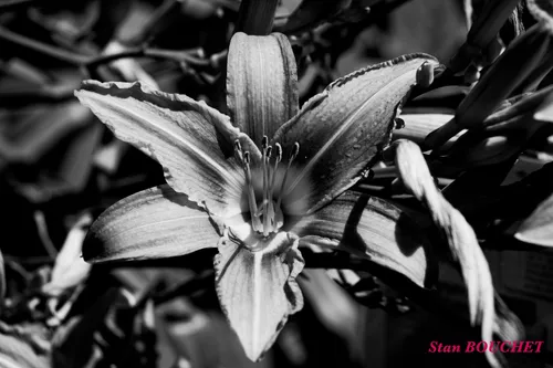 IMG_3656_120260614