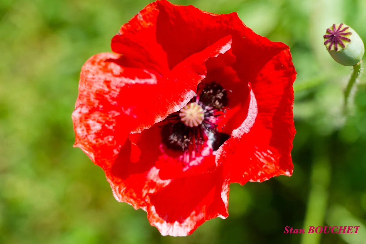IMG_3692_M20260614